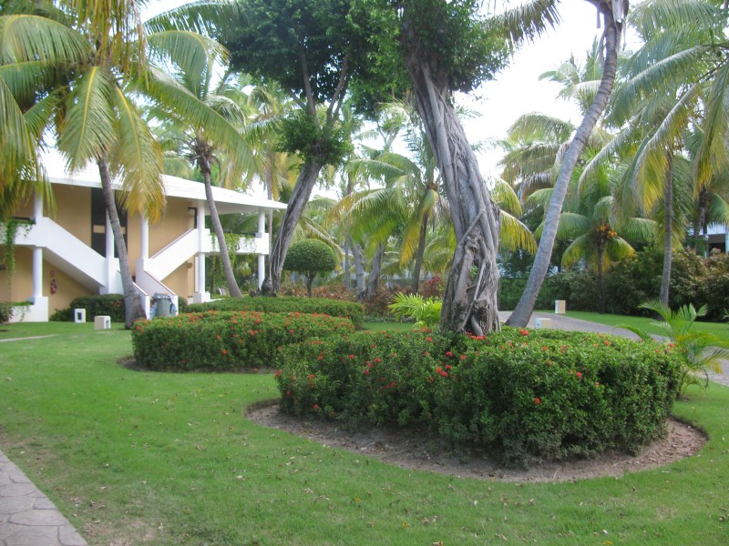 Dominican Republic 552.jpg